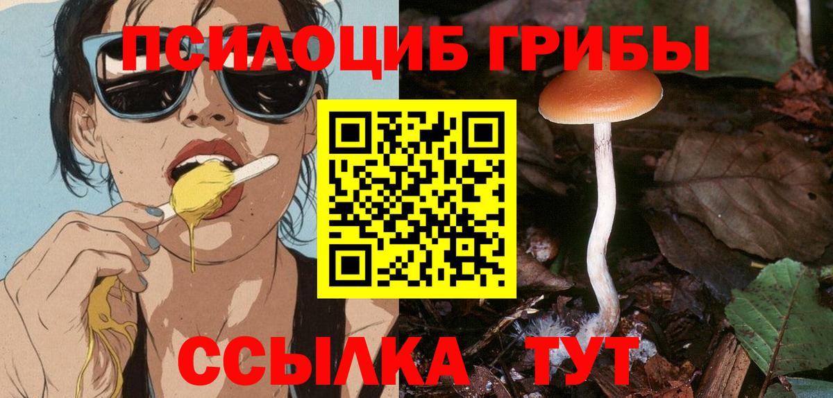 купить  цена  Псилоцибиновые грибы Magic Shrooms  Вход с VPN  Галлюциногенные грибы мухоморы  Вязьма 
